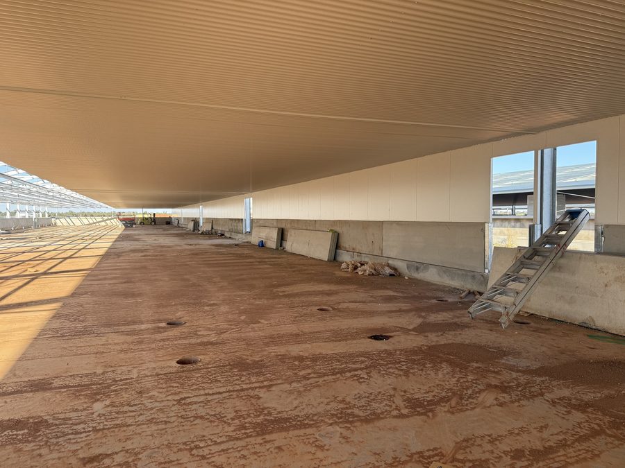 Concrete slab under construction
