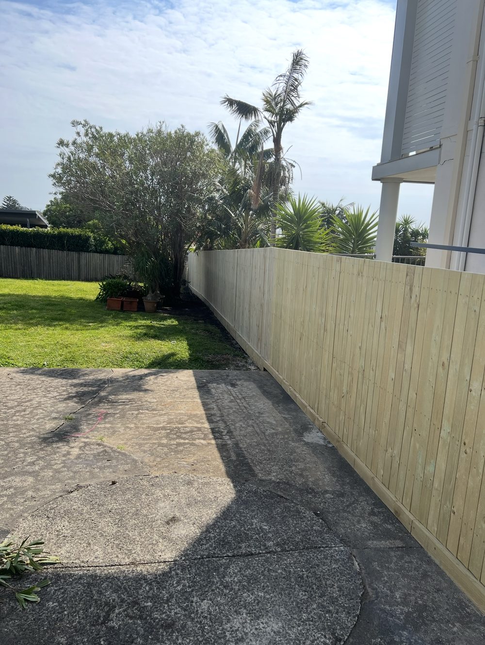 New timber paling fence along a backyard